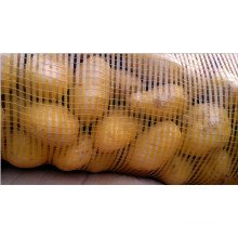 Новый урожай картофеля для рынка Бангладеш